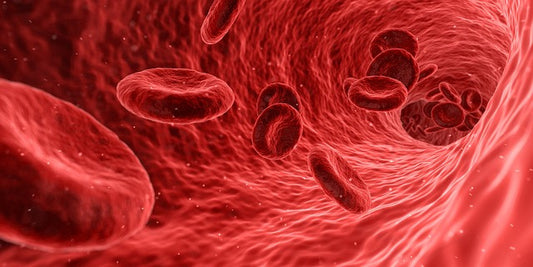 healthy blood vessels